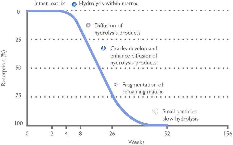 Graphic-Resorption-MatrixBarrier-copie
