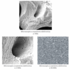 equimatrix microscopio