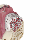 immagini prodotto sito (8)