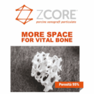 porosità zcore
