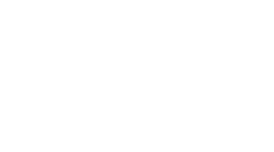 Serag Wiessner